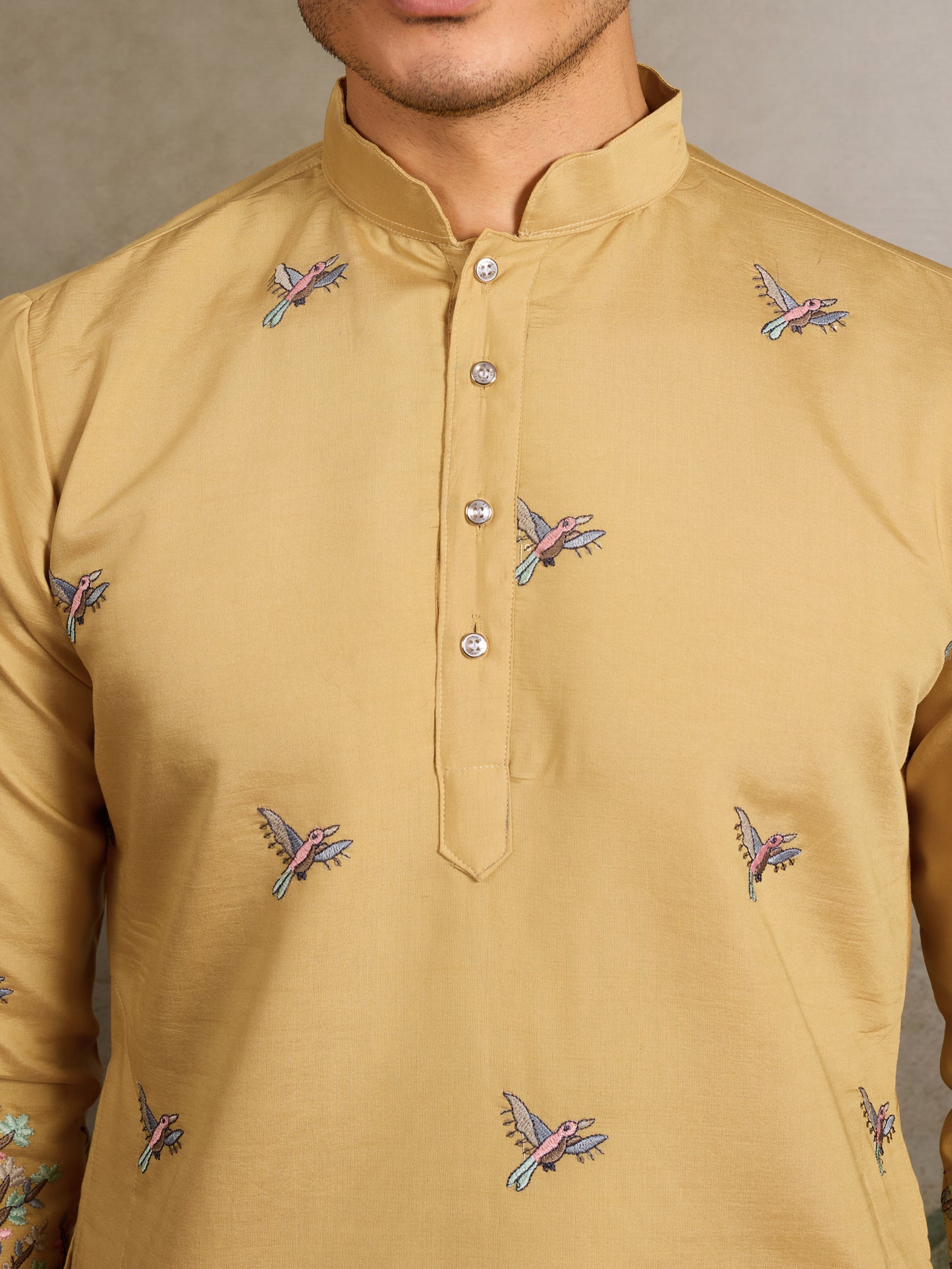 Royal Safari Kurta – Embroidered Elegance in Every Thread